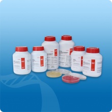 硫乙醇酸盐流体培养基 FT(药典,颗粒型)
