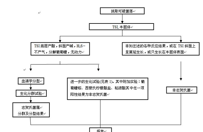 志贺氏菌生化鉴定