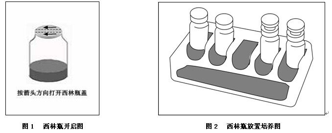 志贺氏菌生化鉴定盒